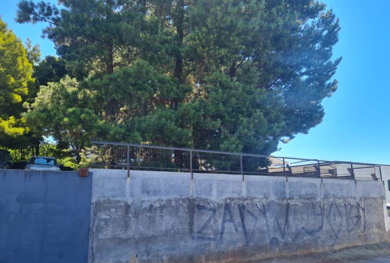 Propiedad de Propiedades Salgado